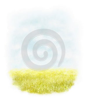 Watercolor illustration with landscape scenery with summer meadow and sky