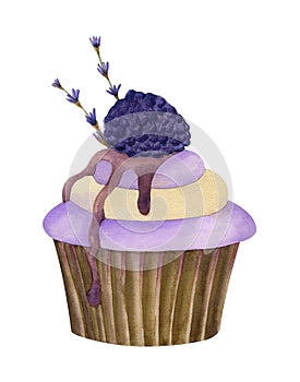Watercolor illustration of lavender cupcake with chocolate cream jam blackberry decorated with flowers