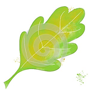 Watercolor illustration of a leaf