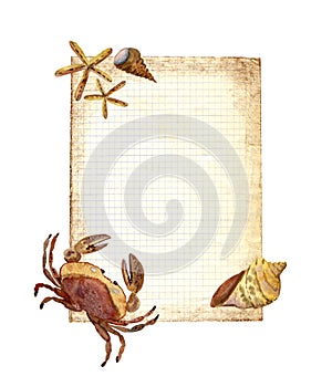 Watercolor illustration with marine life, crabs, shells, starfish on the background of aged paper.