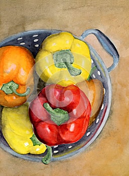 Watercolor illustration of a metal colander with yellow, red and orange sweet peppers