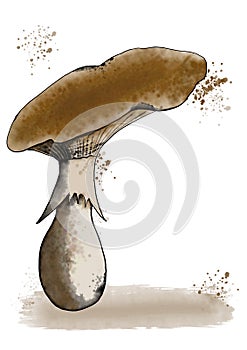 Watercolor illustration of a mushroom