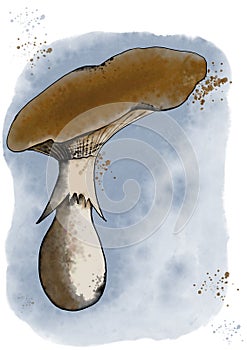 Watercolor illustration of a mushroom