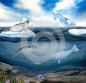 watercolor illustration of north sea landscape and underwater world, blue sky, iceberg, narwhal, seal, white wale, cod