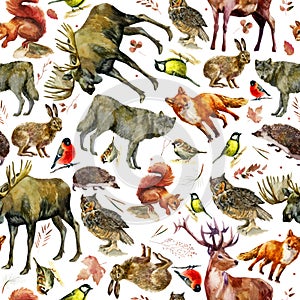 Watercolor illustration, pattern. Forest animals on a white background. Elk, wolf, fox, hare, squirrel, hedgehog, tit, bullfinch,