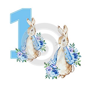 Watercolor illustration of Peter Rabbit First Birthday