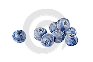 Watercolor illustration of a pile of blueberries