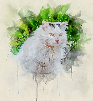 Watercolor illustration, Portrait of a dirty white colored stray cat with yellow eyes