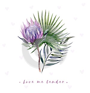 Watercolor illustration with protea and palm leaves. Postcard with the words `Love me tender`.