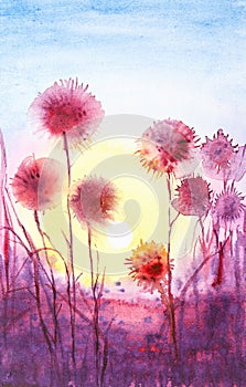 Watercolor illustration of purple dandelions field at sunset