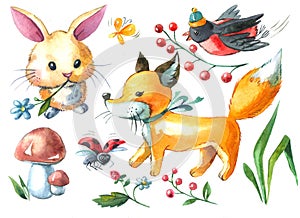 Watercolor illustration rabbit, fox, bullfinch, mushroom