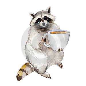 Watercolor illustration racoon with coffee mug, animal character isolated on white background.