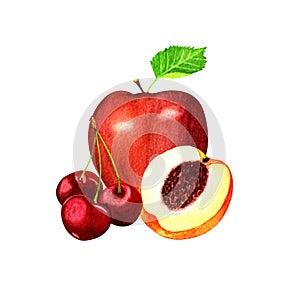Watercolor illustration of red apple,cherries and peach, isolated on white background.Composition of garden fruits and berries