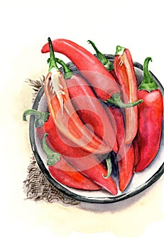 Watercolor illustration of red hot peppers in a metal bowl