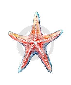 Watercolor red starfish isolated on white background.