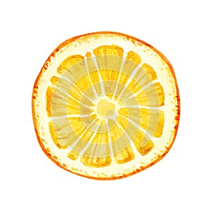 Watercolor illustration of ripe lemon isolated on white background. Bright fruit collection of hand drawn illustrations.