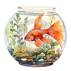watercolor illustration of round aquarium with goldfish isolated on white background