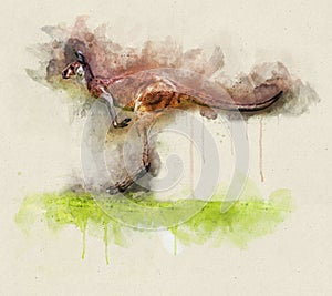 Watercolor Illustration of a Running Kangaroo