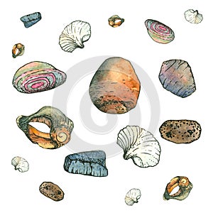 Watercolor illustration of sea stones and seashells on a white background