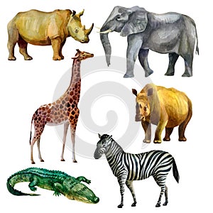 Watercolor illustration, set. African tropical animals hand-drawn in watercolor. Elephant, giraffe, rhino, zebra, crocodile