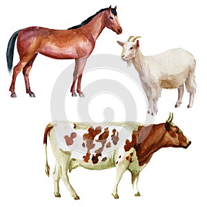 Watercolor illustration, set. Farm animals, cow, horse, goat