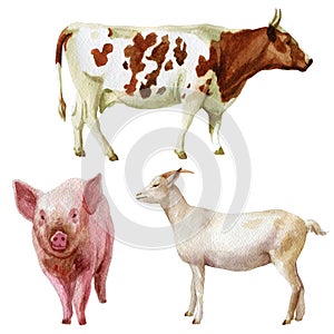 Watercolor illustration, set. Farm animals, cow, pig, goat