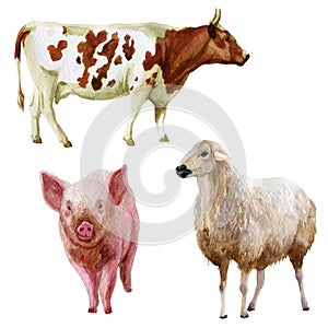 Watercolor illustration, set. Farm animals, cow, pig, sheep