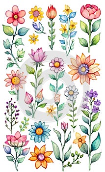 Watercolor illustration of a set of flowers for decoration, squares with flowers, seamless pattern