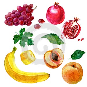 Watercolor illustration, set. Image of fruits, grapes, banana, pomegranate, peach