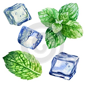 Watercolor illustration, set. An image of mint. Mint leaves. The image of ice. Ice cubes for drinks, cocktails