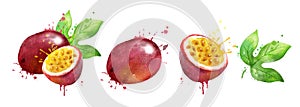 Watercolor illustration set of passionfruit