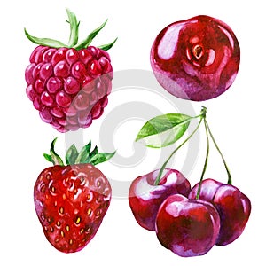 Watercolor illustration, set. Raspberries, strawberries, cherries, cherry berries on a branch