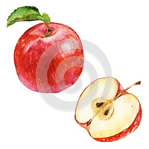 Watercolor illustration, set. Red apple and half of apple.