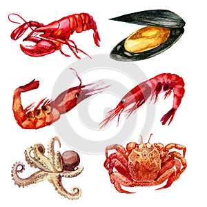 Watercolor illustration. Set of seafood. Shrimp, mussel, cancer, lobster, squid