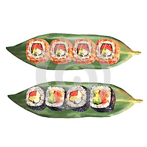 Watercolor illustration of a set of sushi rolls on a sheet of kelp.