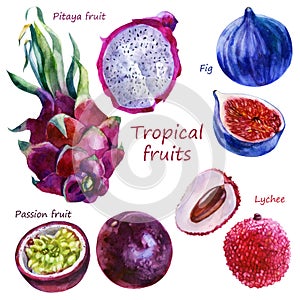 Watercolor illustration of a set of tropical fruits. Pitahaya, lychee, figs, passion fruit. Whole fruits, parts of fruits