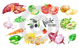 Watercolor illustration set of Vegetables