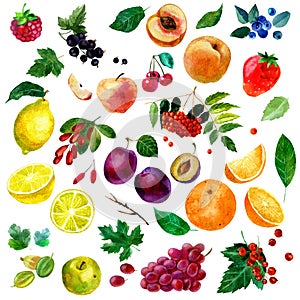 Watercolor illustration, set of watercolor fruit and berries, parts and leaves, peach, plum, lemon, orange, apple, grapes, strawbe