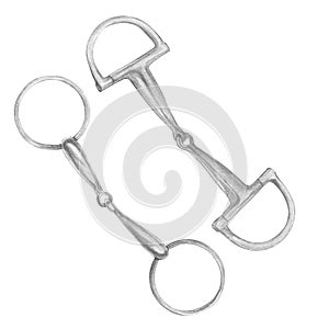 Watercolor illustration of silver snaffle, bit with D-Ring and circle rings. Equipment for horse riding metal set