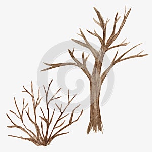 Watercolor Illustration sketch of dead tree without leaves. Winter, autumn, spring seasons brown trees isolated on white