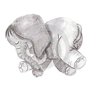 Watercolor illustration of sleeping elephant
