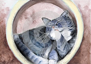 Watercolor illustration of a snuggling tabby fawn cat