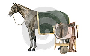 Watercolor illustration of a standing English Thoroughbred bay horse under a green blanket wearing a brown halter