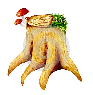 Watercolor illustration of a stump with mushrooms