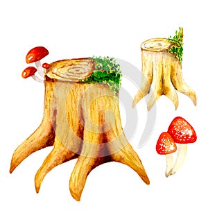 Watercolor illustration of stumps with fly agaric