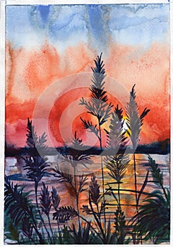 Watercolor illustration sunset evening ears spikes flowers violet purple red orange blue colors