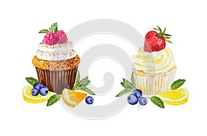 Watercolor illustration of sweet cupcakes with fruits. Cliparts isolated for different cafe menu or food designs