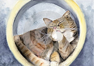 Watercolor illustration of a tabby fawn cat snuggling up in a cat house