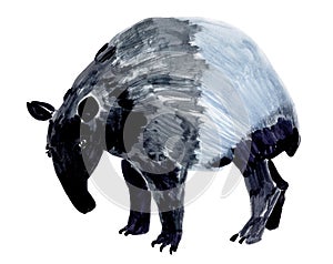 Watercolor illustration of a tapir