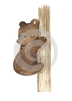 Watercolor illustration of teddy bear on tree for babies and baby showers, children